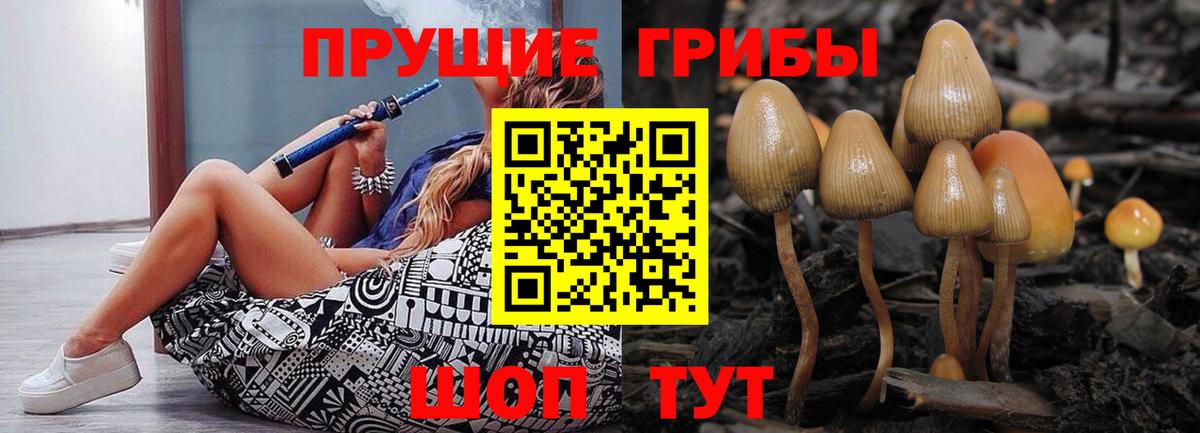 Белово  Галлюциногенные грибы мицелий  Вход с VPN 