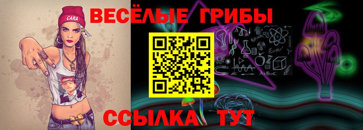 Псилоцибиновые грибы ЛСД Белово